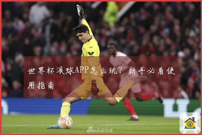 世界杯滚球APP怎么玩？新手必看使用指南